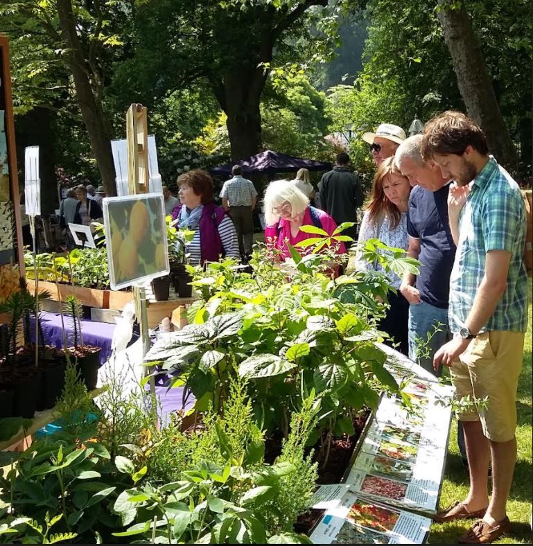 Macclesfield gardeners gear up for ‘plant hunters’ fair’