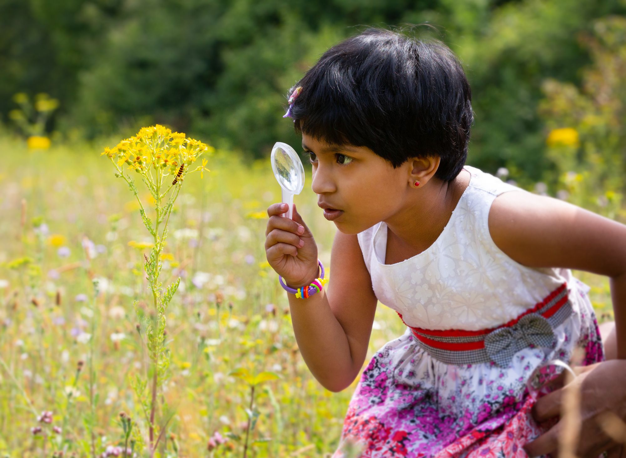 Hertfordshire families encouraged to get 'wild' this summer
