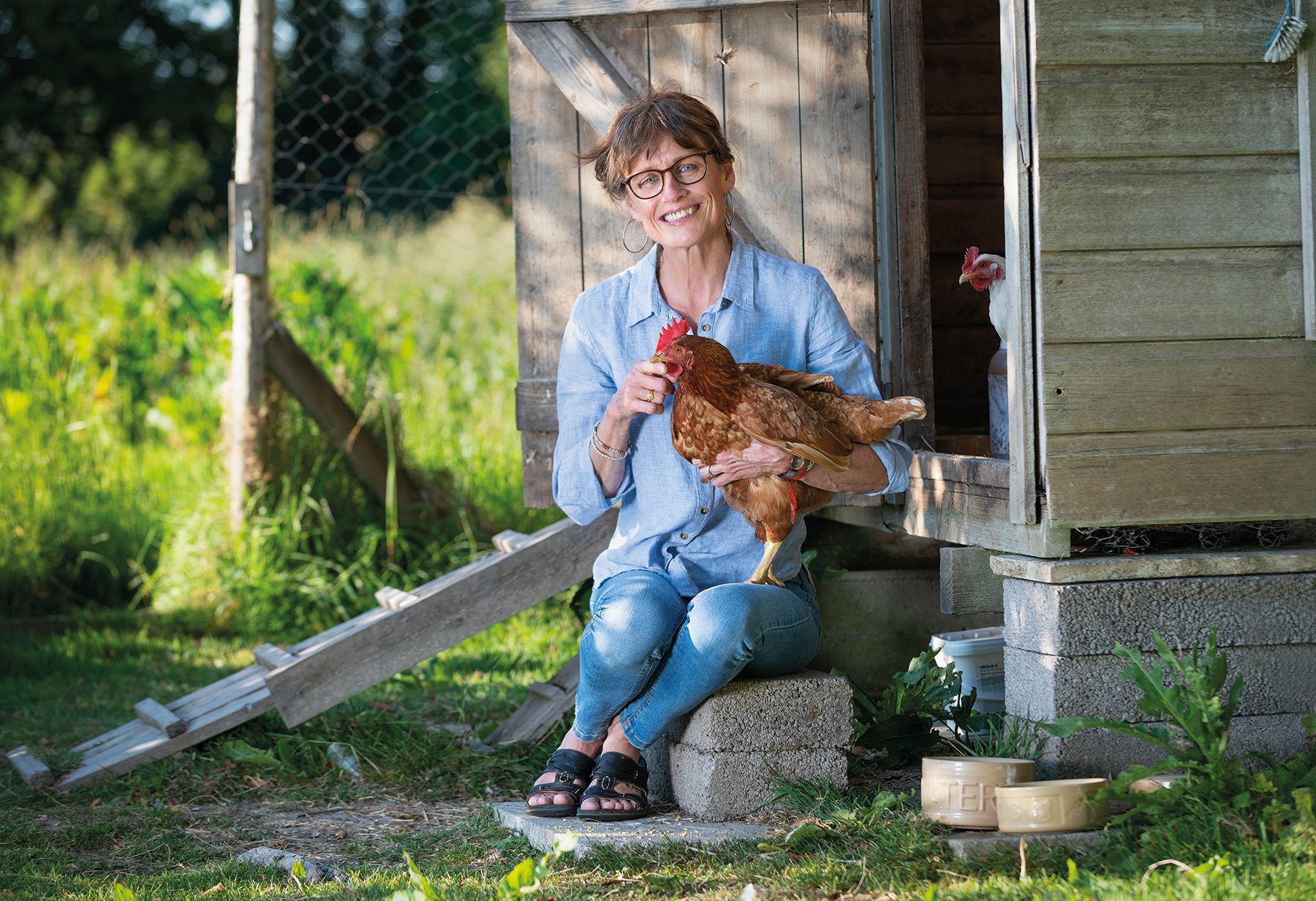 Herts hen heroes needed to help save flocks from slaughter