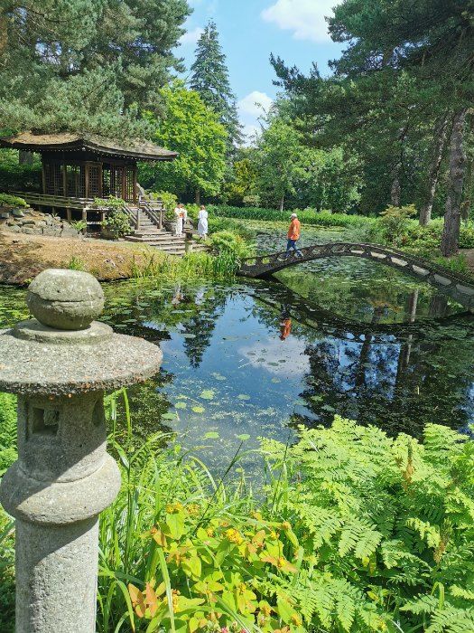 Tatton Park festival set to celebrate all things Japanese
