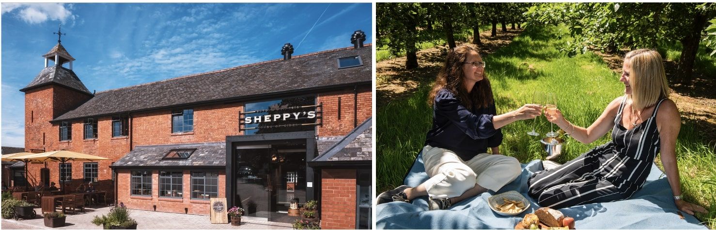 Somerset's oldest cider makers bags seven awards