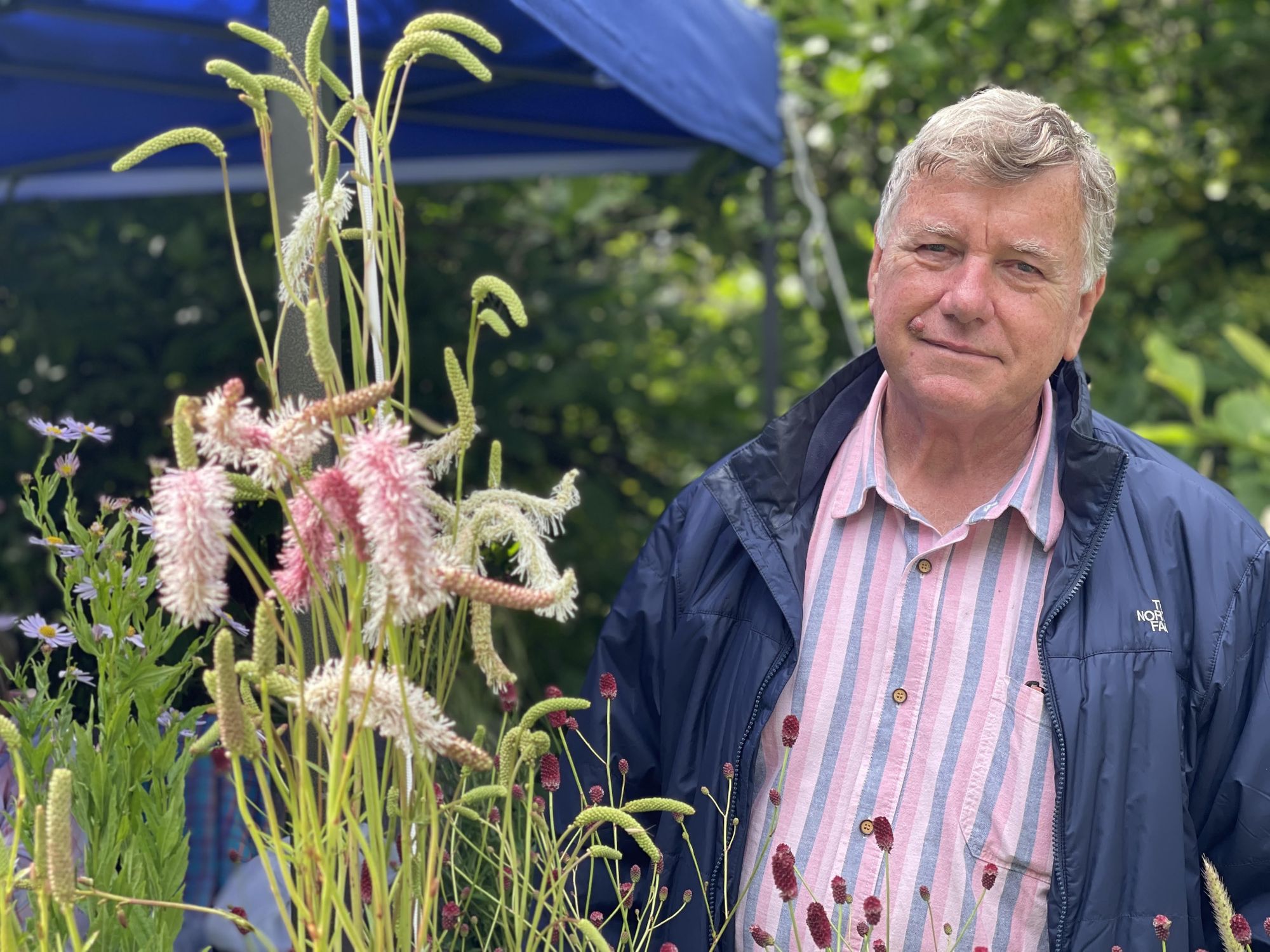 Garden show in Sevenoaks returns after break with flowers, jazz and Pimm's