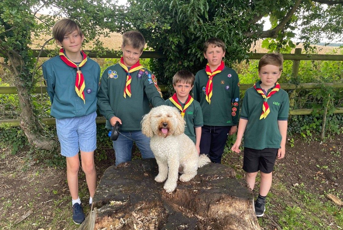 Stafford Dog Show takes place in August and will attempt a world record