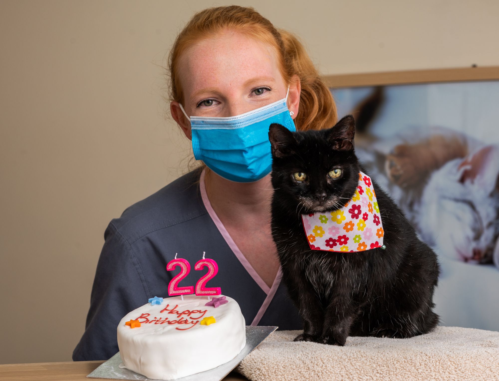 Could Milly from Badgers Mount be Kent's oldest cat?