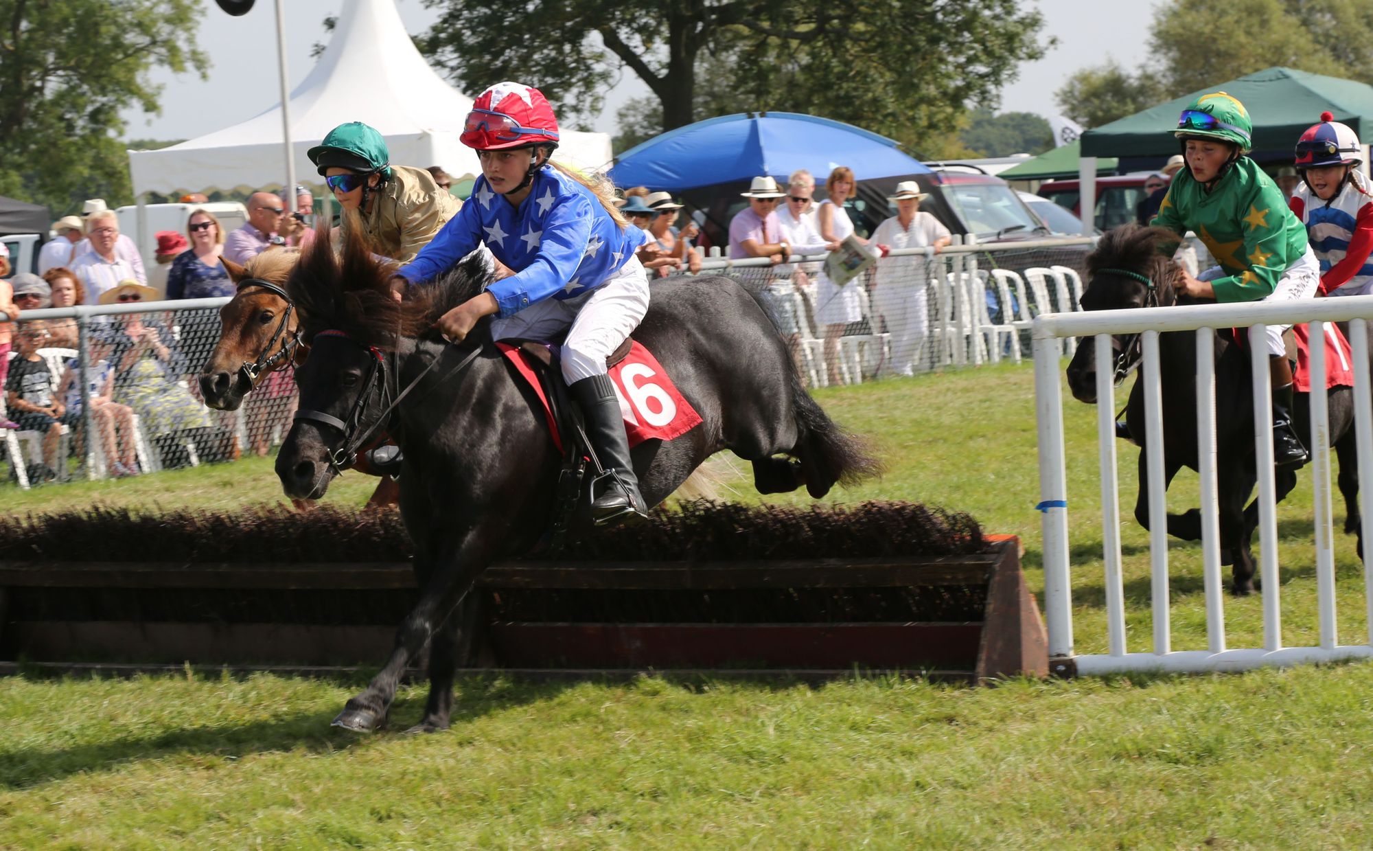 Edenbridge and Oxted show returns on August Bank Holiday weekend