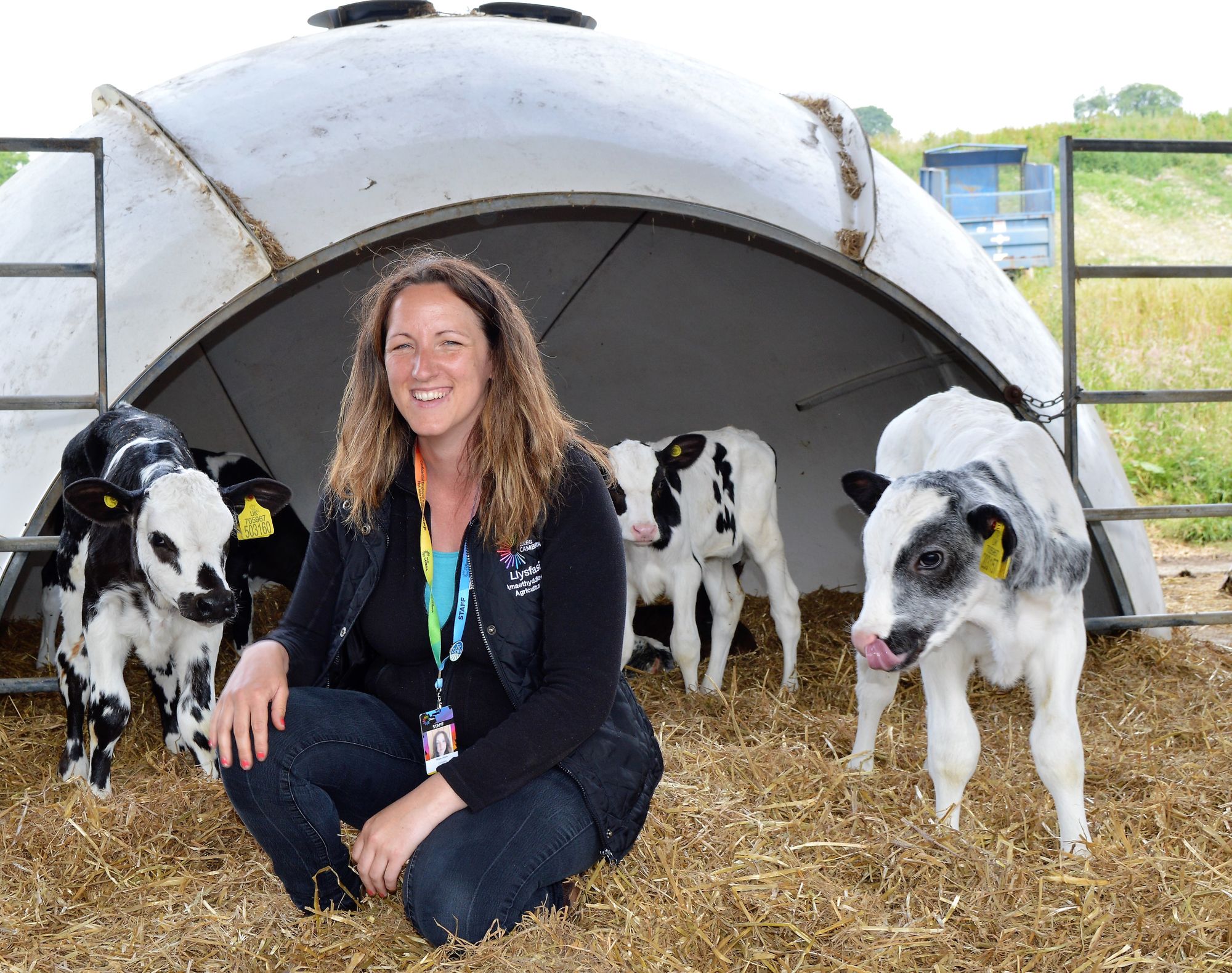 New beef farming programme to help shape the future