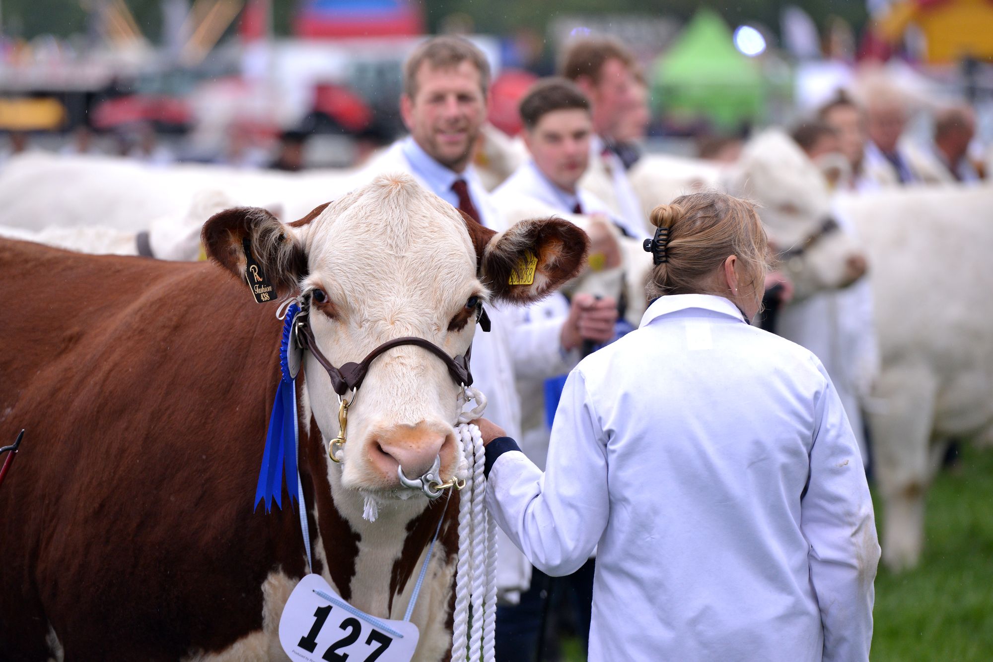 Final preparations being made for a bumper Staffordshire County Show