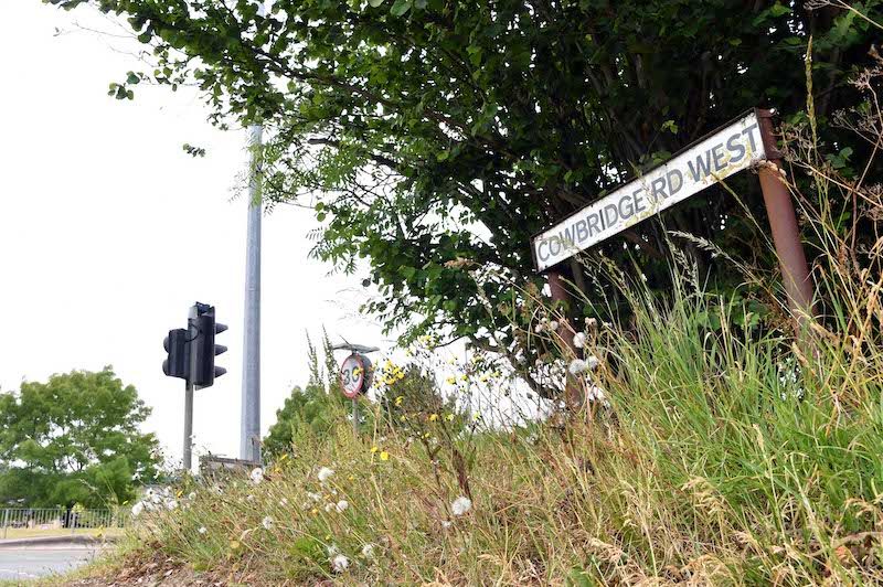 Maintenance of Leek grass verges and trees is questioned