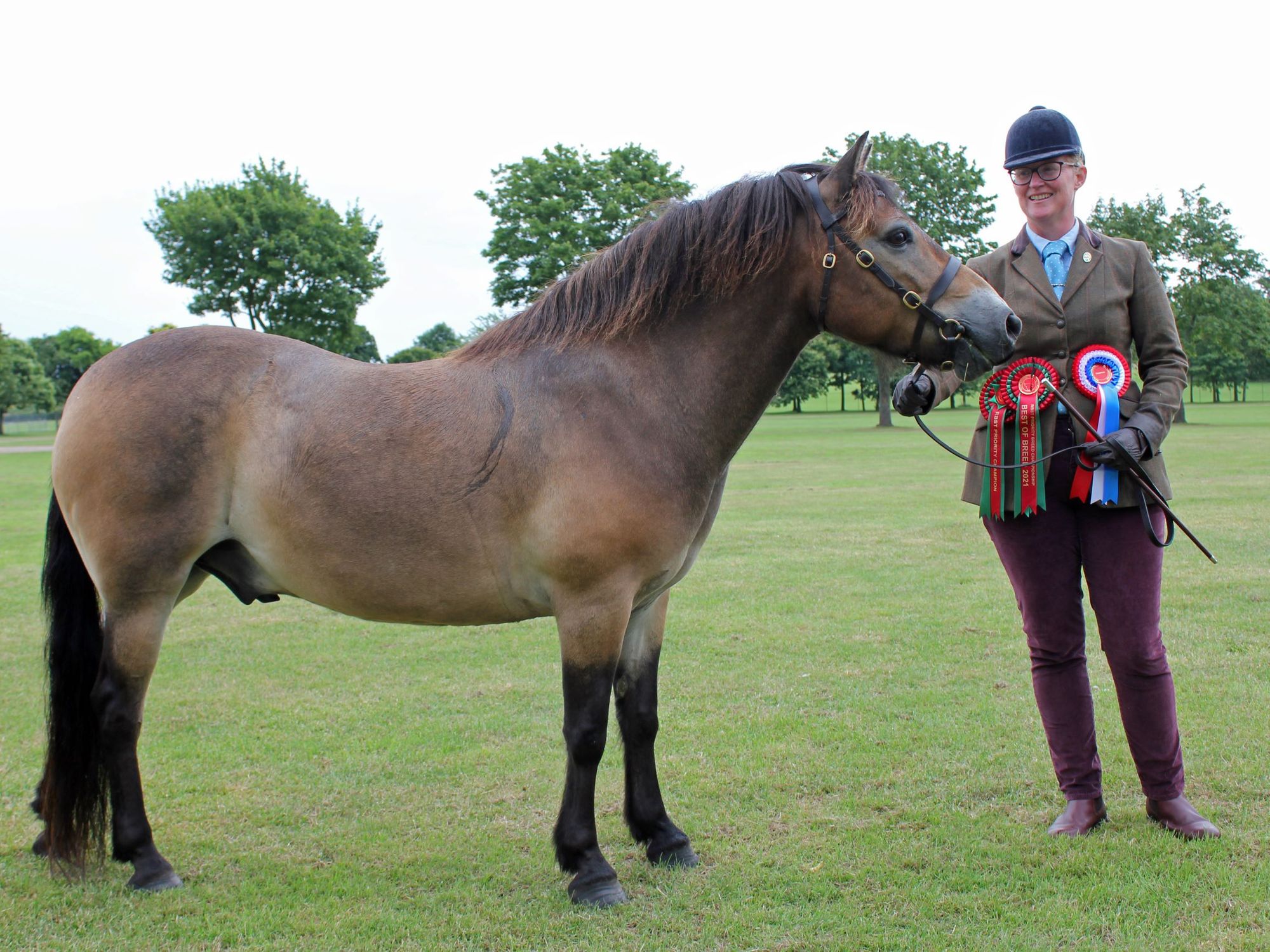 Rare breed showcase at Norfolk equestrian show InYourArea Community