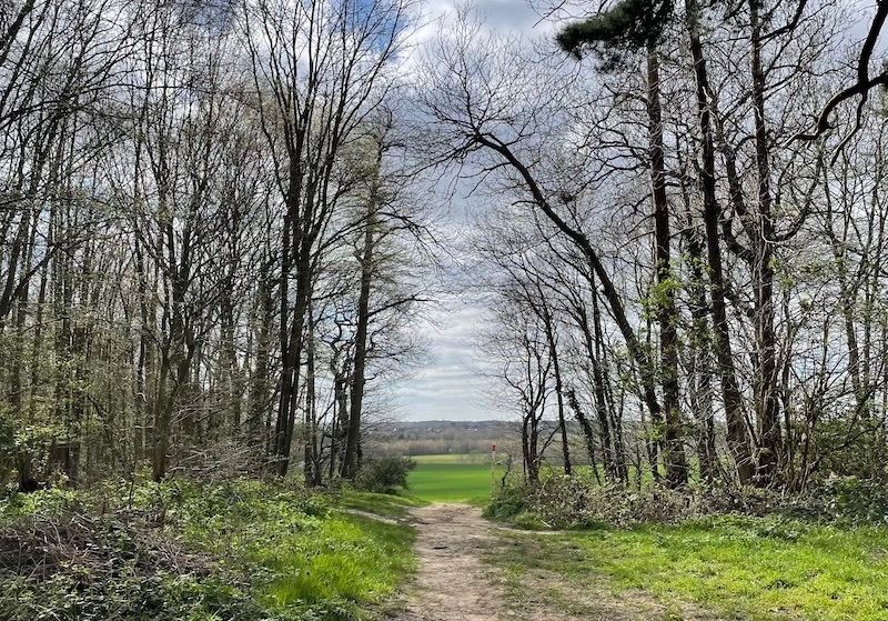 Rochford Council introduce parking charges at Cherry Orchard Country