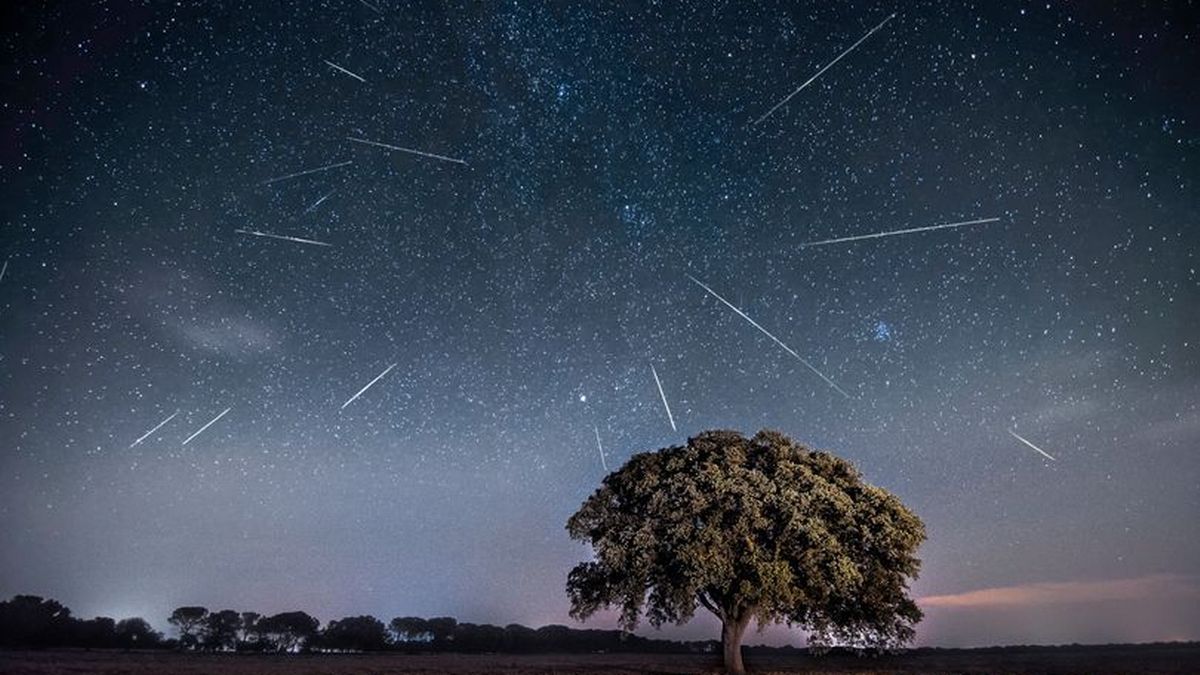 How to watch stunning Perseid meteor shower as it peaks this week
