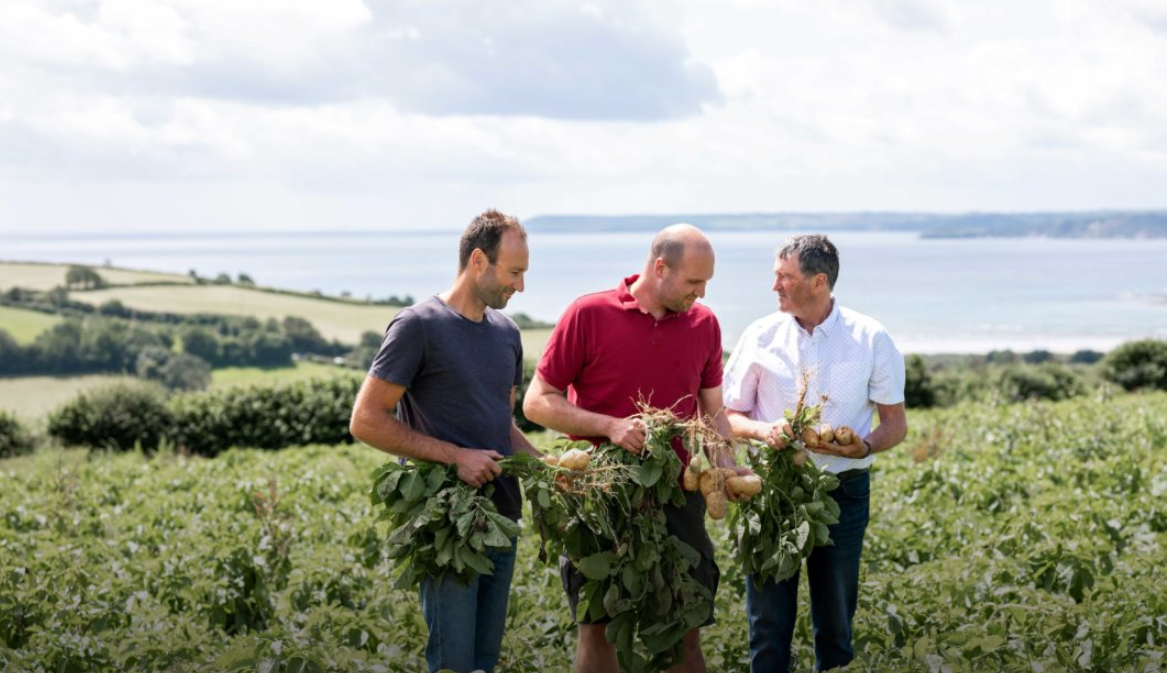 Lostwithiel vodka and gin distillery wins Selfridges listing