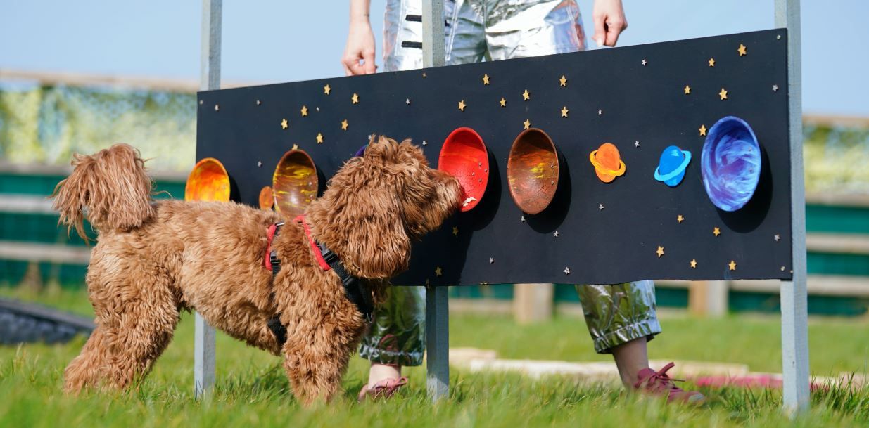 Two new activities for dogs and owners at The North East Dog Festival