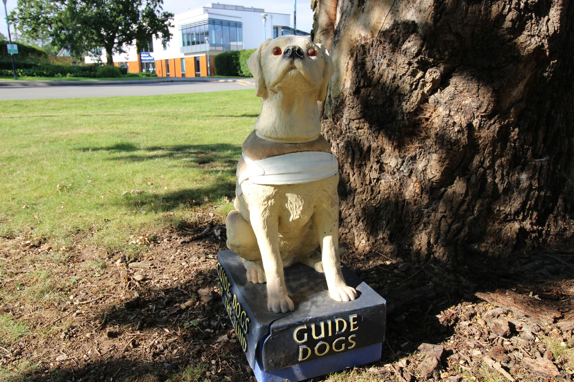 Iconic Loughborough guide dog boxes under threat