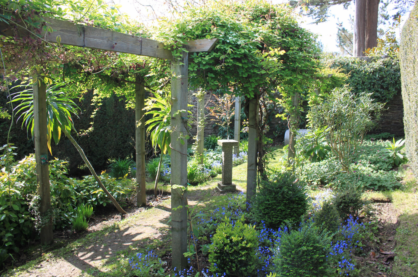 Cornwall Wildlife Trust to hold Open Garden 10th anniversary event at Trenarth Garden near Constantine