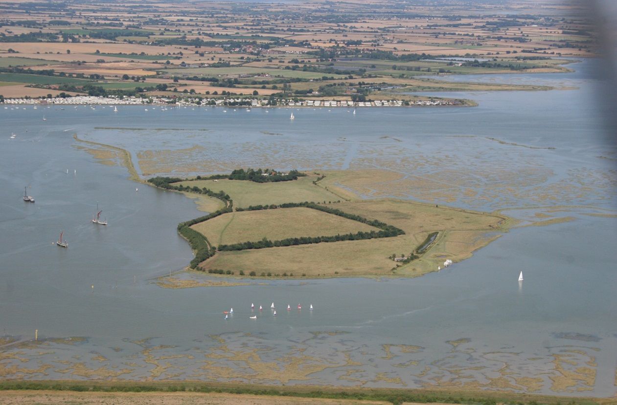 National Trust ‘shores up’ to protect vital saltmarsh habitat in Essex
