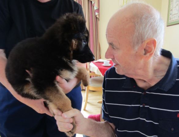 11-week-old German Shepherd is the pawfect treat for care home residents in Bedlington