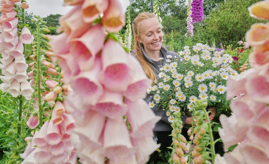 Study reveals best cities in UK to own a garden