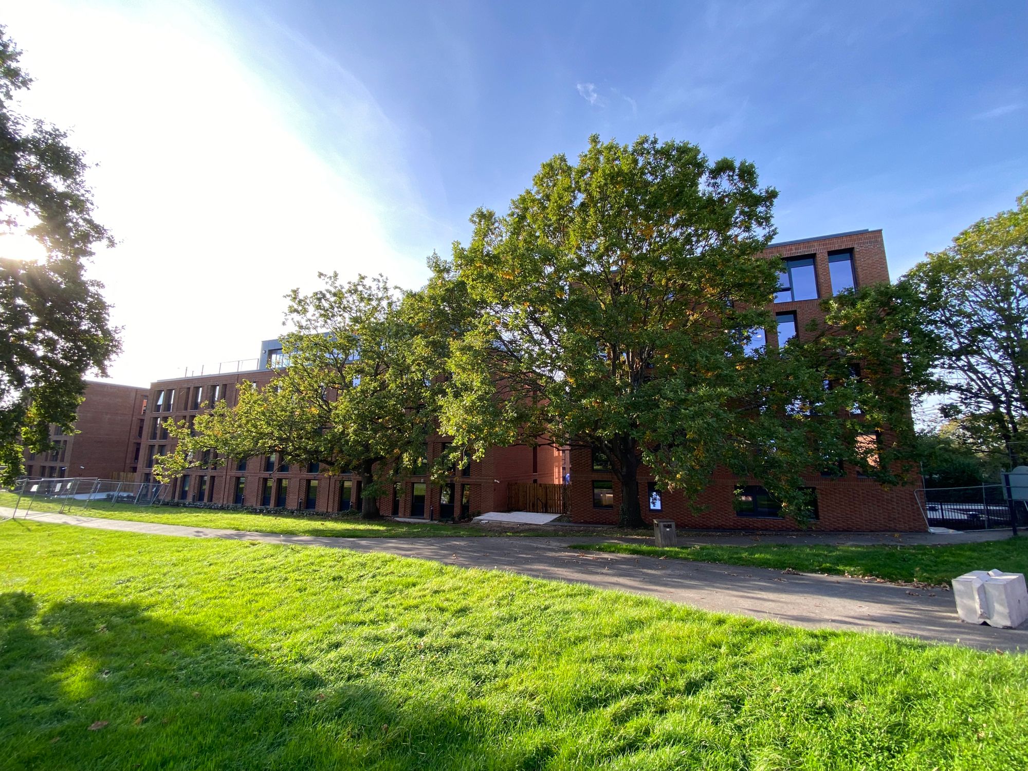 Investigation under way as oak tree roots severed in Stoke Park near Guilden student block