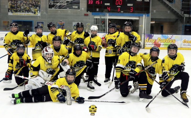 Ice Hockey: Widnes Wild Academy round up