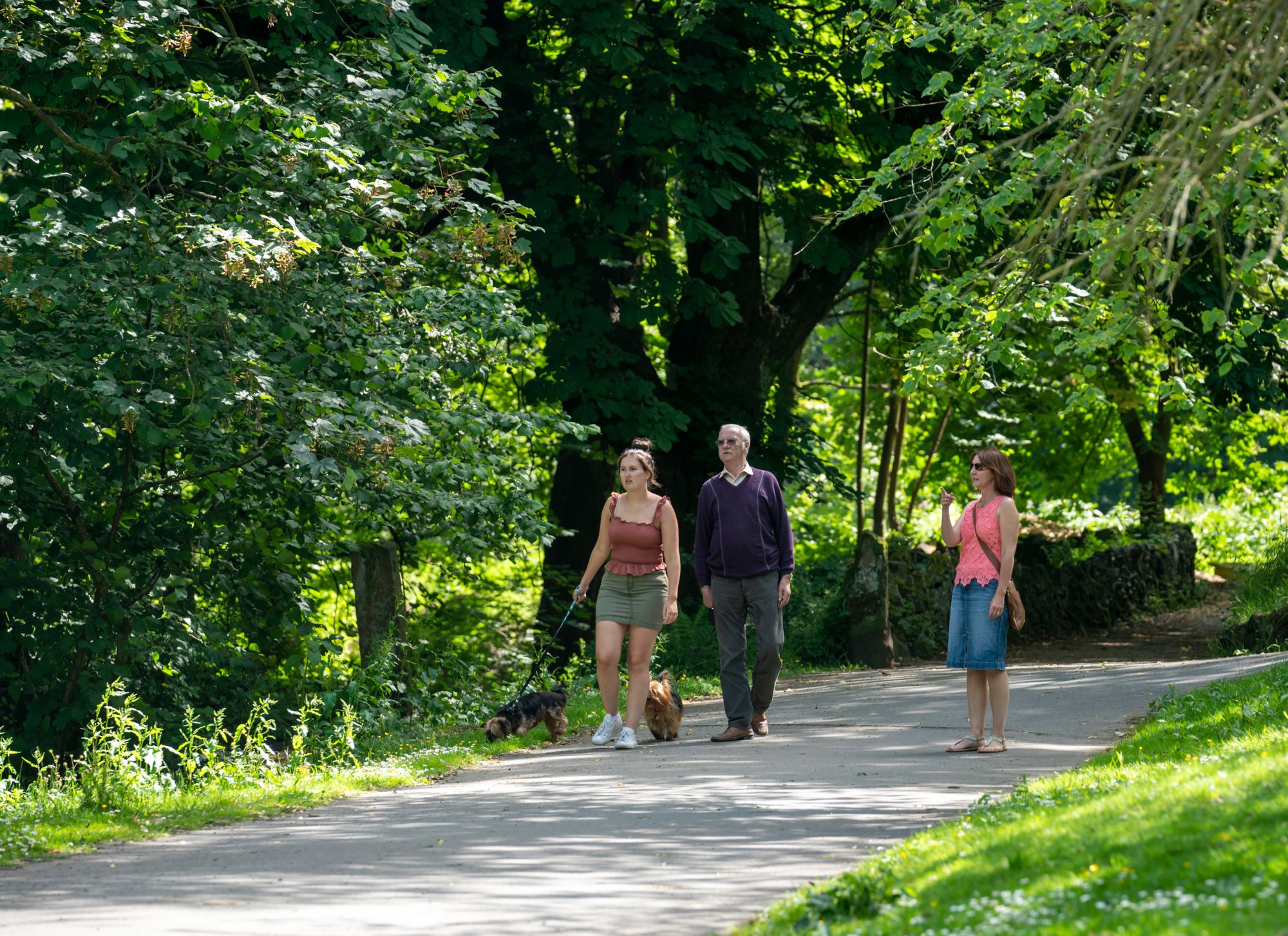 Borough’s award-winning green spaces knock it out of the park again