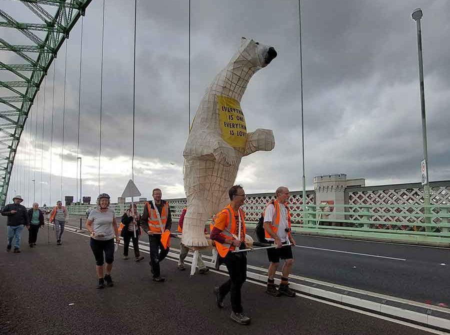 Huge 'polar bear' seen passing through Runcorn and Widnes