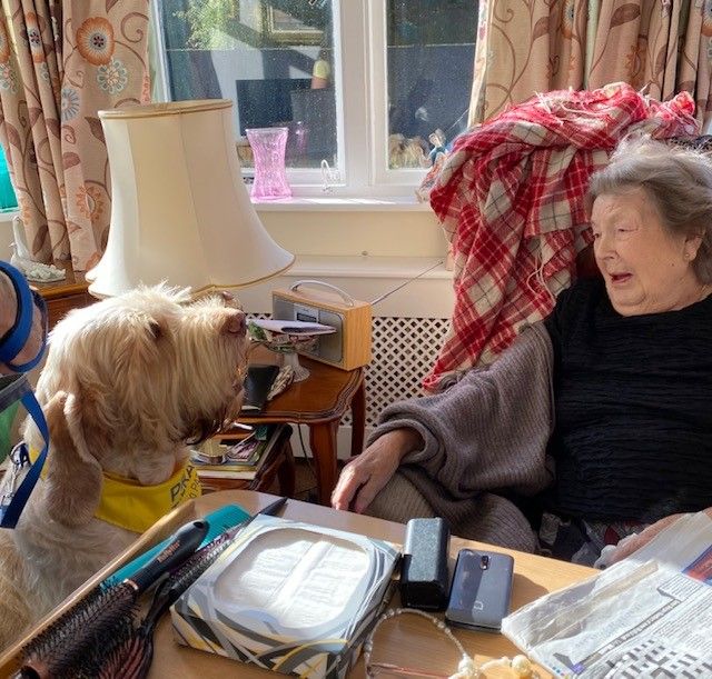 Macclesfield care home residents treated to visit from Henrik the dog