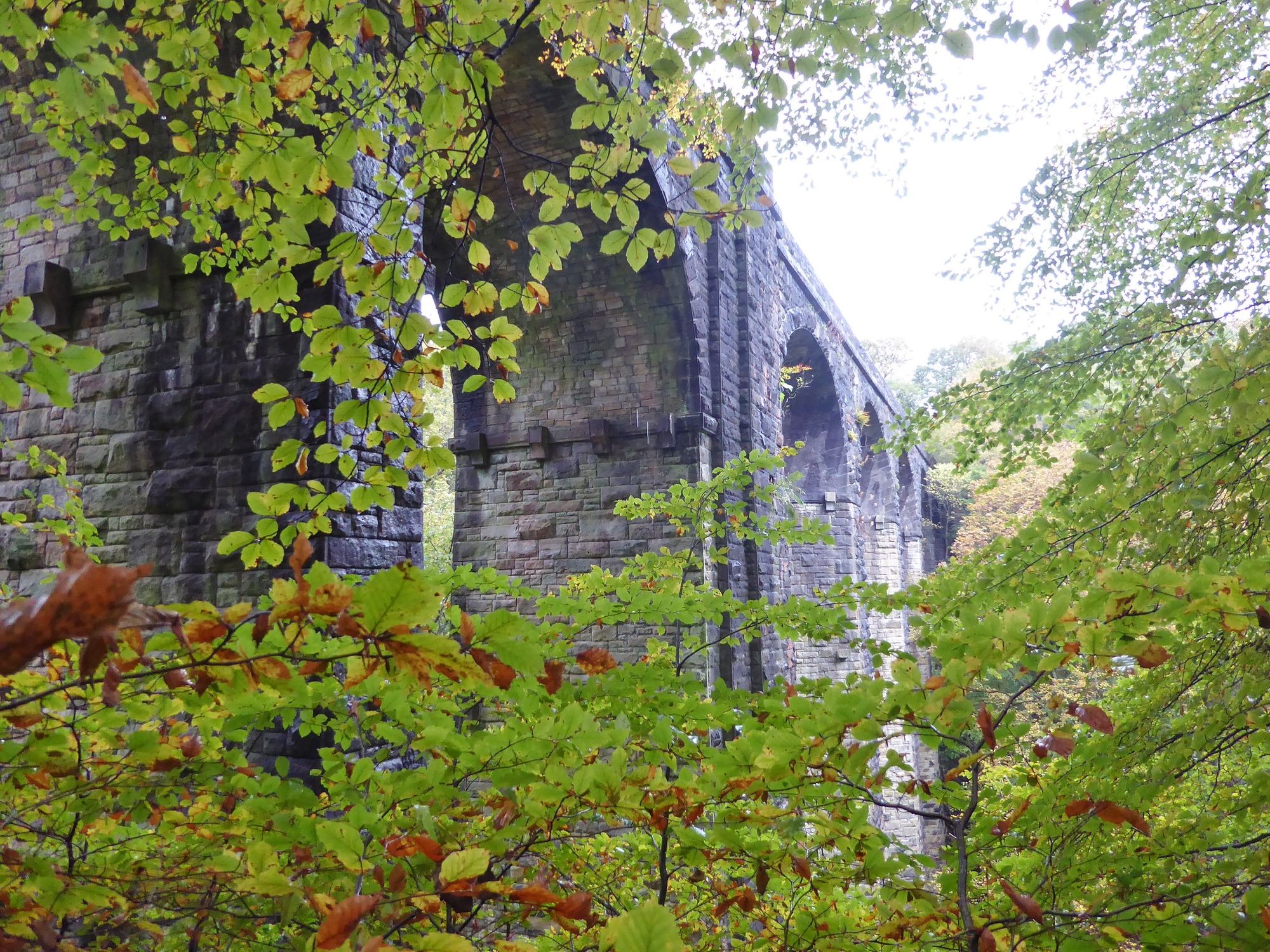 Rossendale Ramblers: Fairies, fungi, and factories