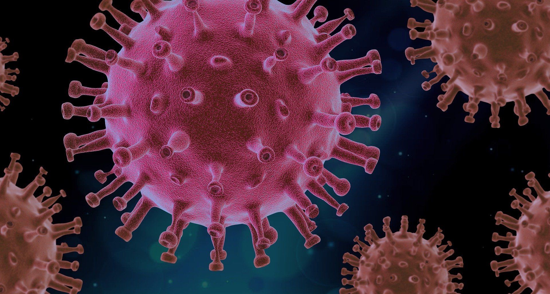 Weekly Covid-19 death toll falls in Scotland