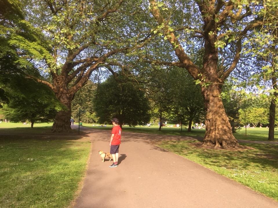New rules for Cardiff's dog owners come into effect from today