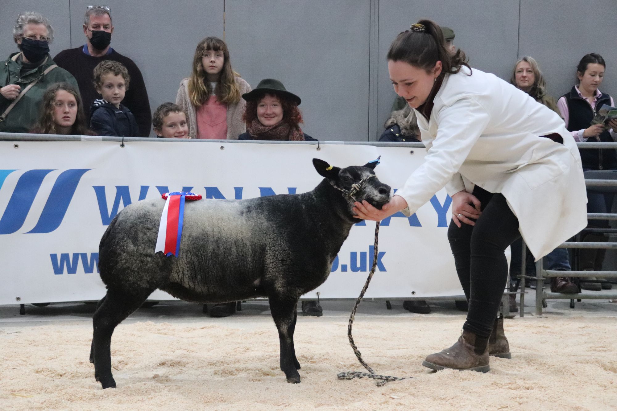 Wadebridge Cornish Winter Fair a huge success