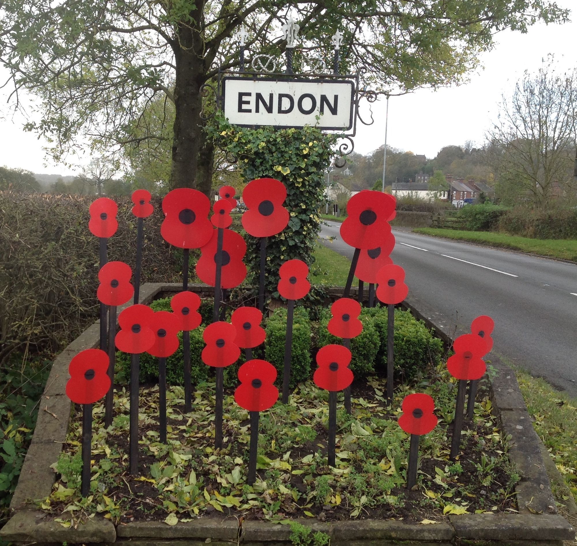 Village displays hundreds of poppies