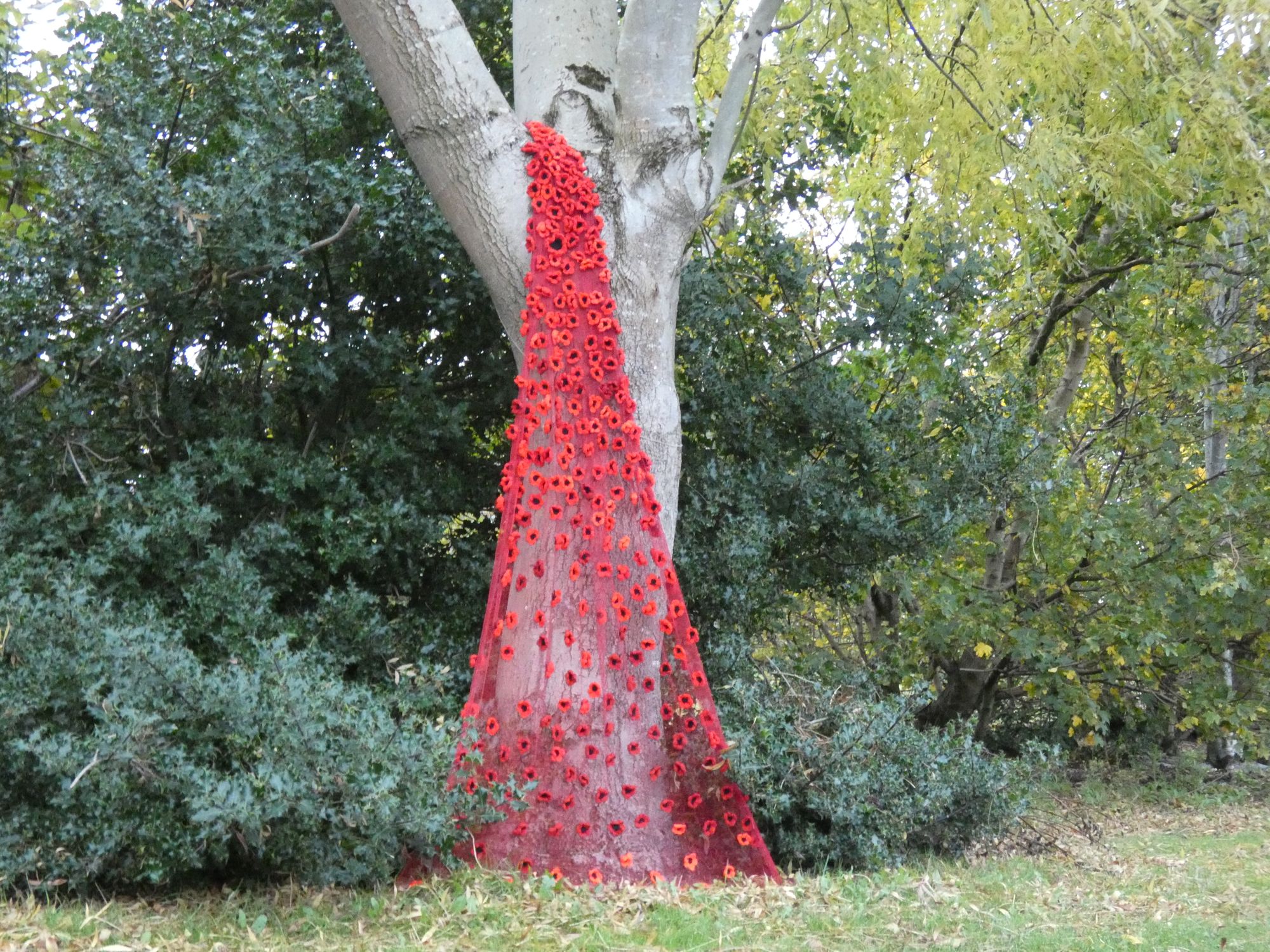 Scene By You Ormskirk - Nov 11 : Pictures of West Lancashire captured by local photographers