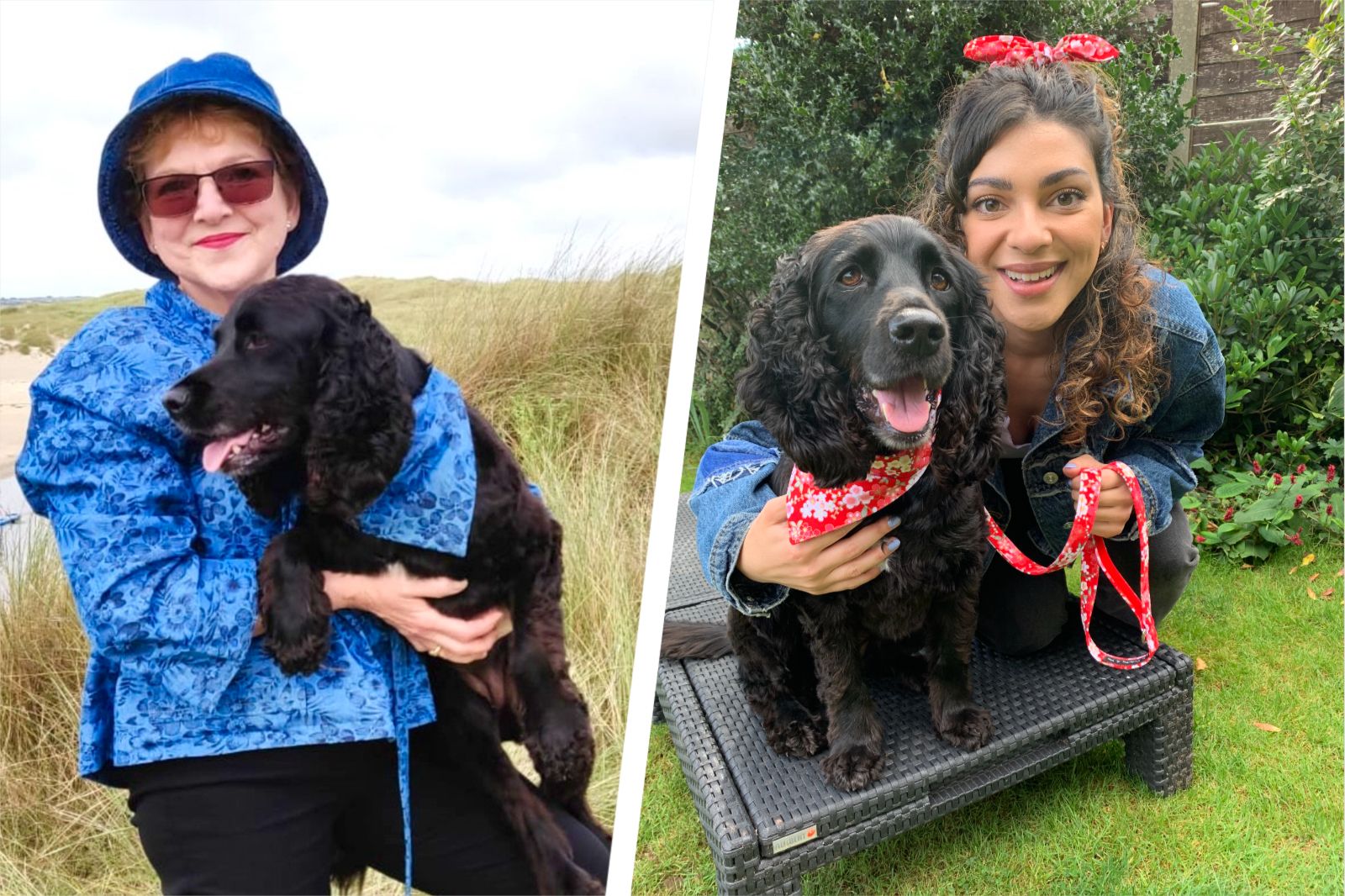Stafford businesswoman launches first National Twin With Your Dog Day