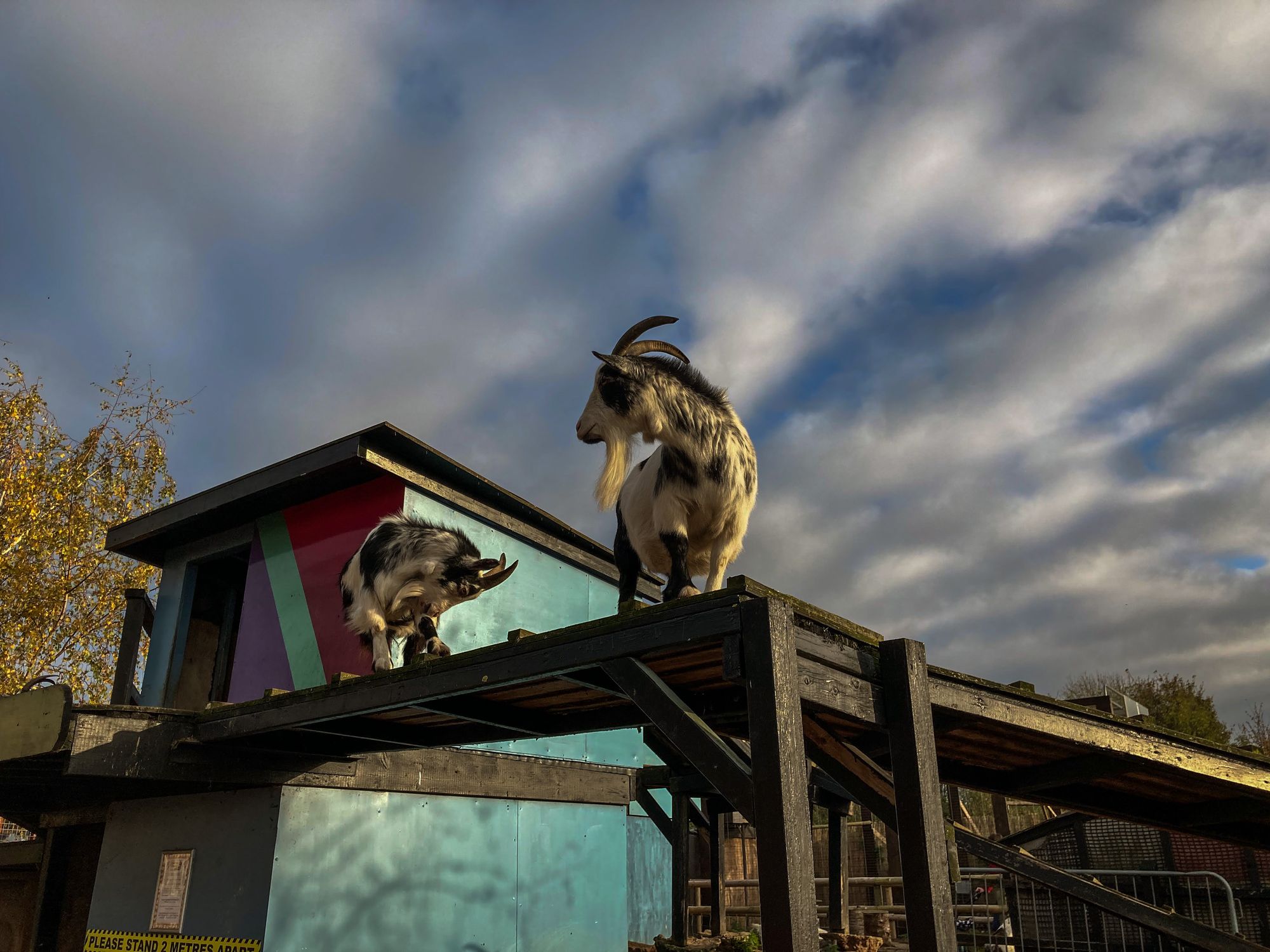 Scene By You: Cheshire captured by our readers