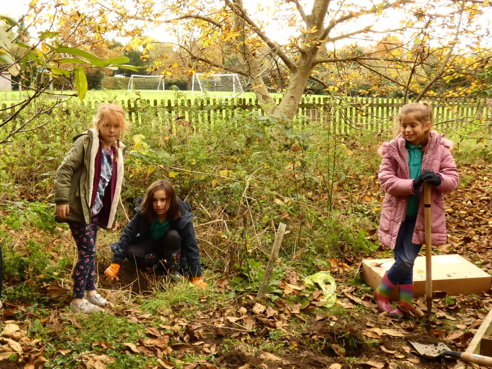 Widford school tackle climate change by being more pro-active