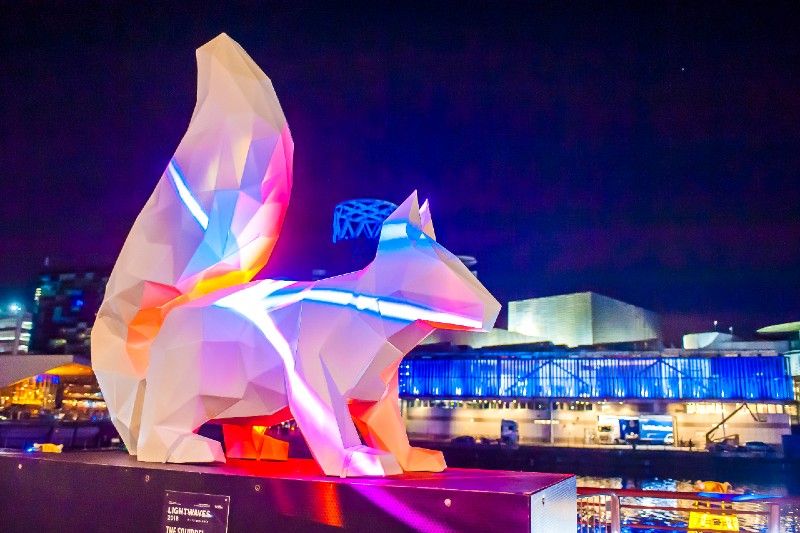 Red squirrel brings light and wildlife awareness to Widnes