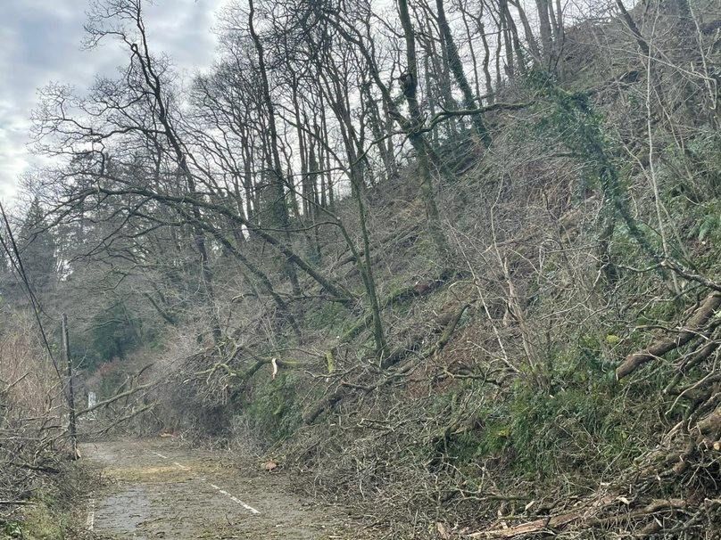 Storm Arwen closes four-mile stretch of Carmarthenshire road due to fallen trees