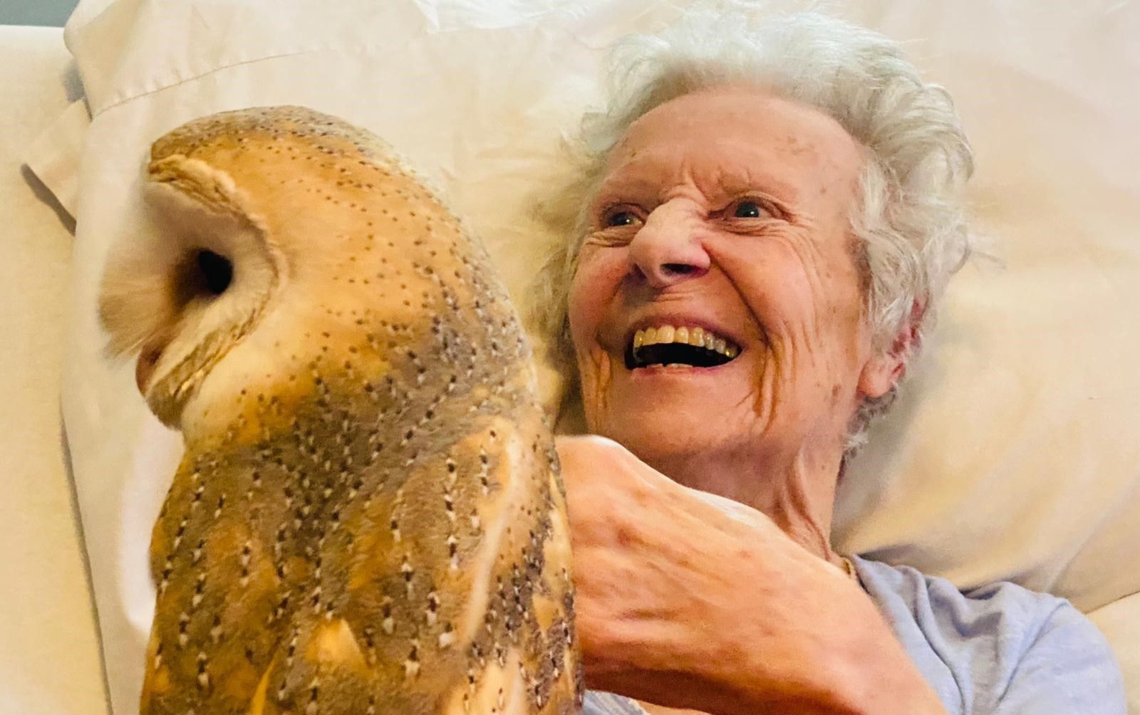 Epping care home visited by therapy barn owls