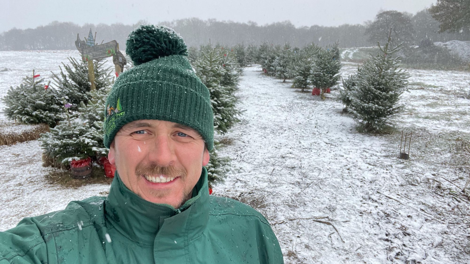 Macclesfield pumpkin patch transforms into Christmas tree forest