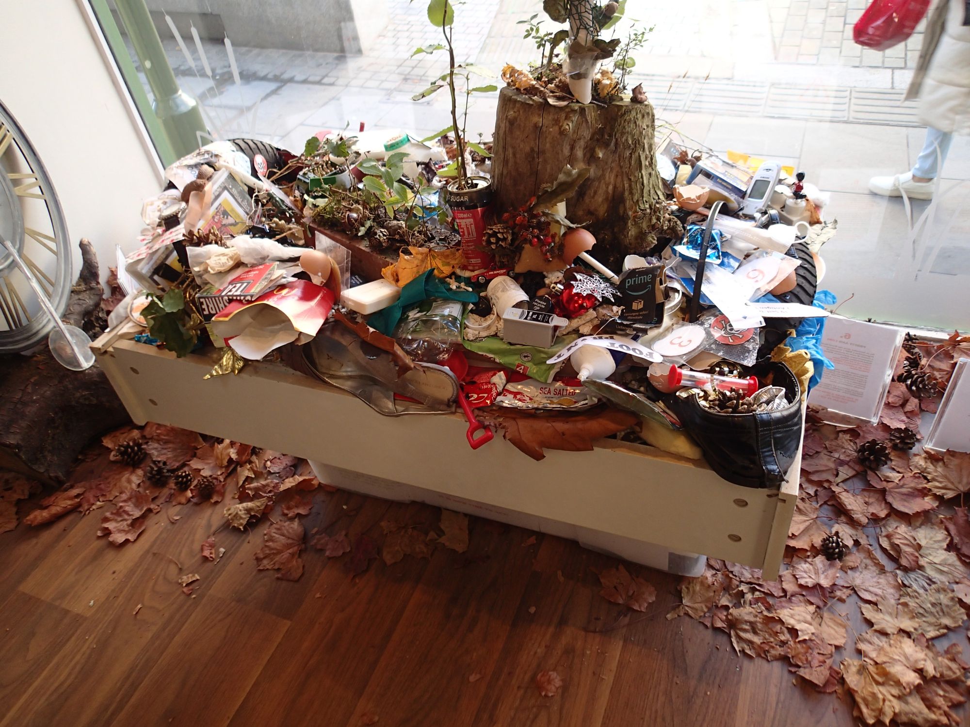 Shop display highlights climate change effect