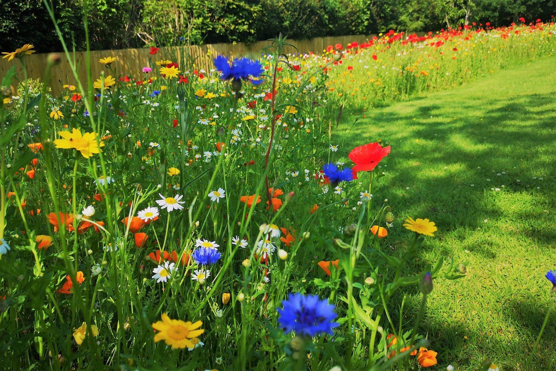 Horticulture students reminded to apply for £5,000 Pat and Margaret Wells Bursary