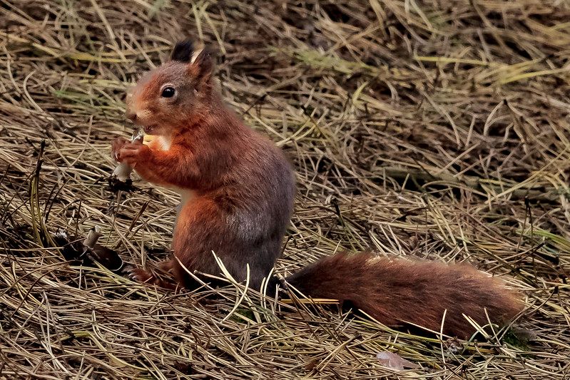 Scene By You Southport - Dec 9: Pictures of West Lancashire captured by local photographers