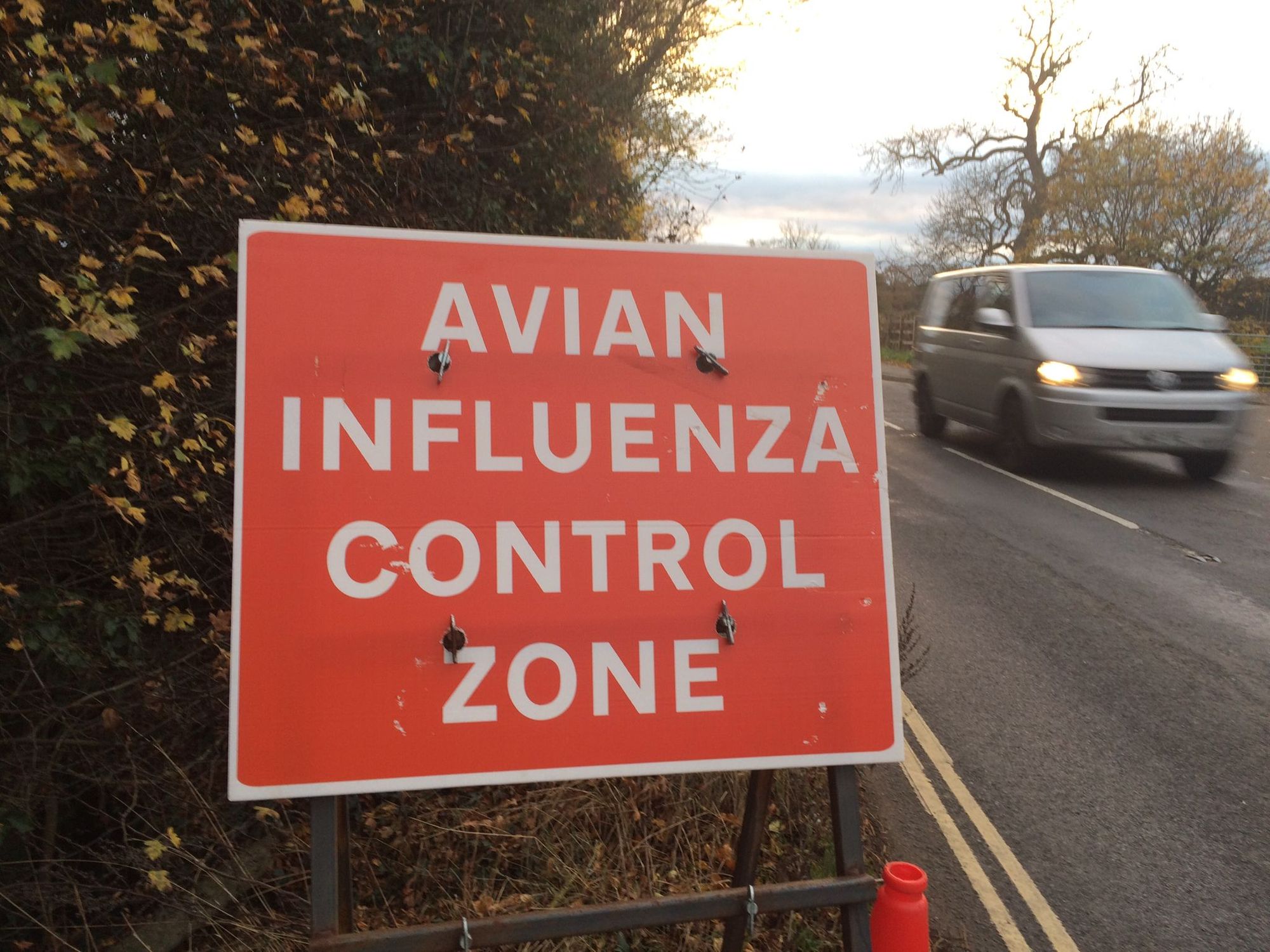 UK is experiencing the “largest-ever outbreak” of bird flu
