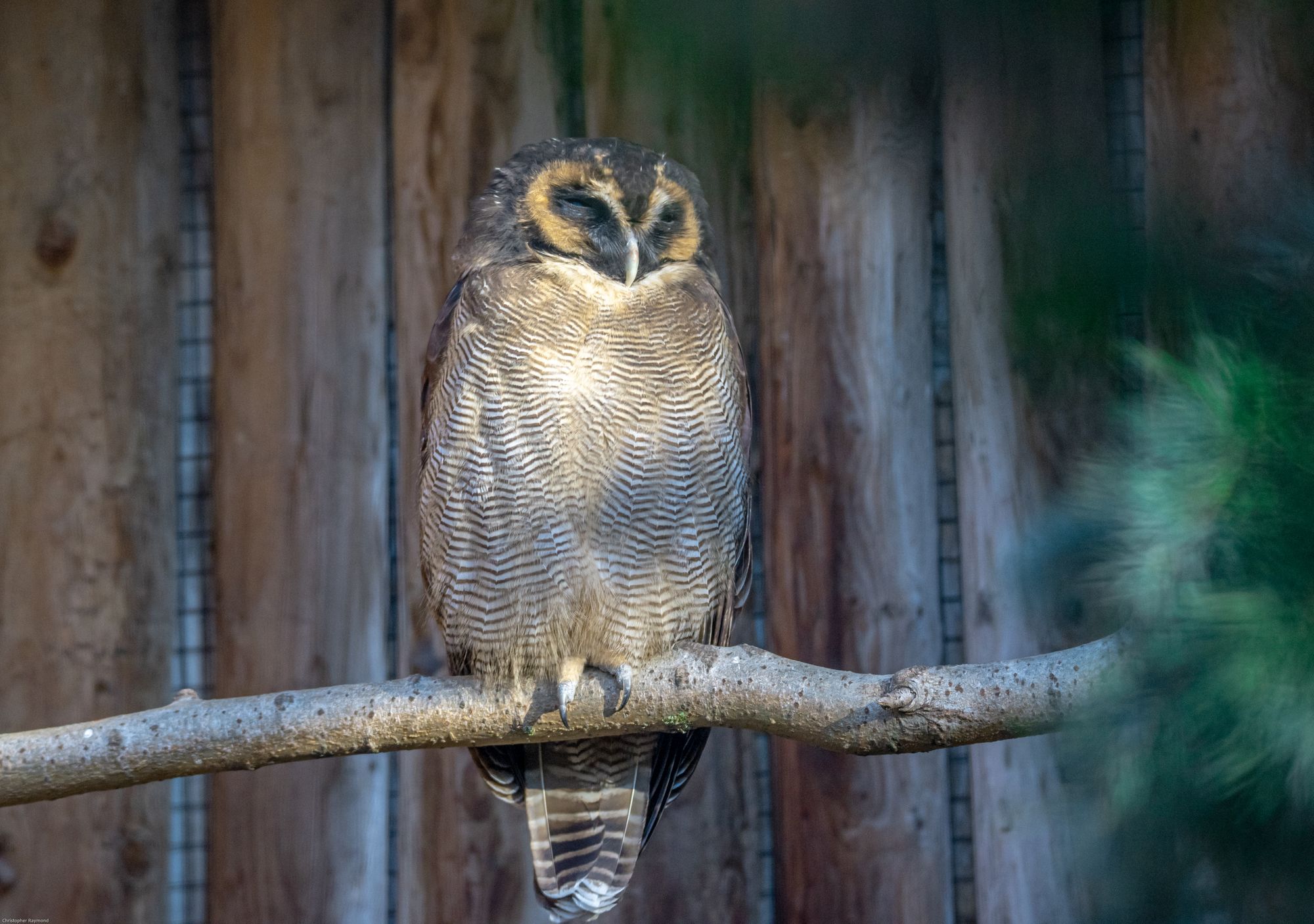 Scene By You: This week's images from across Cheshire
