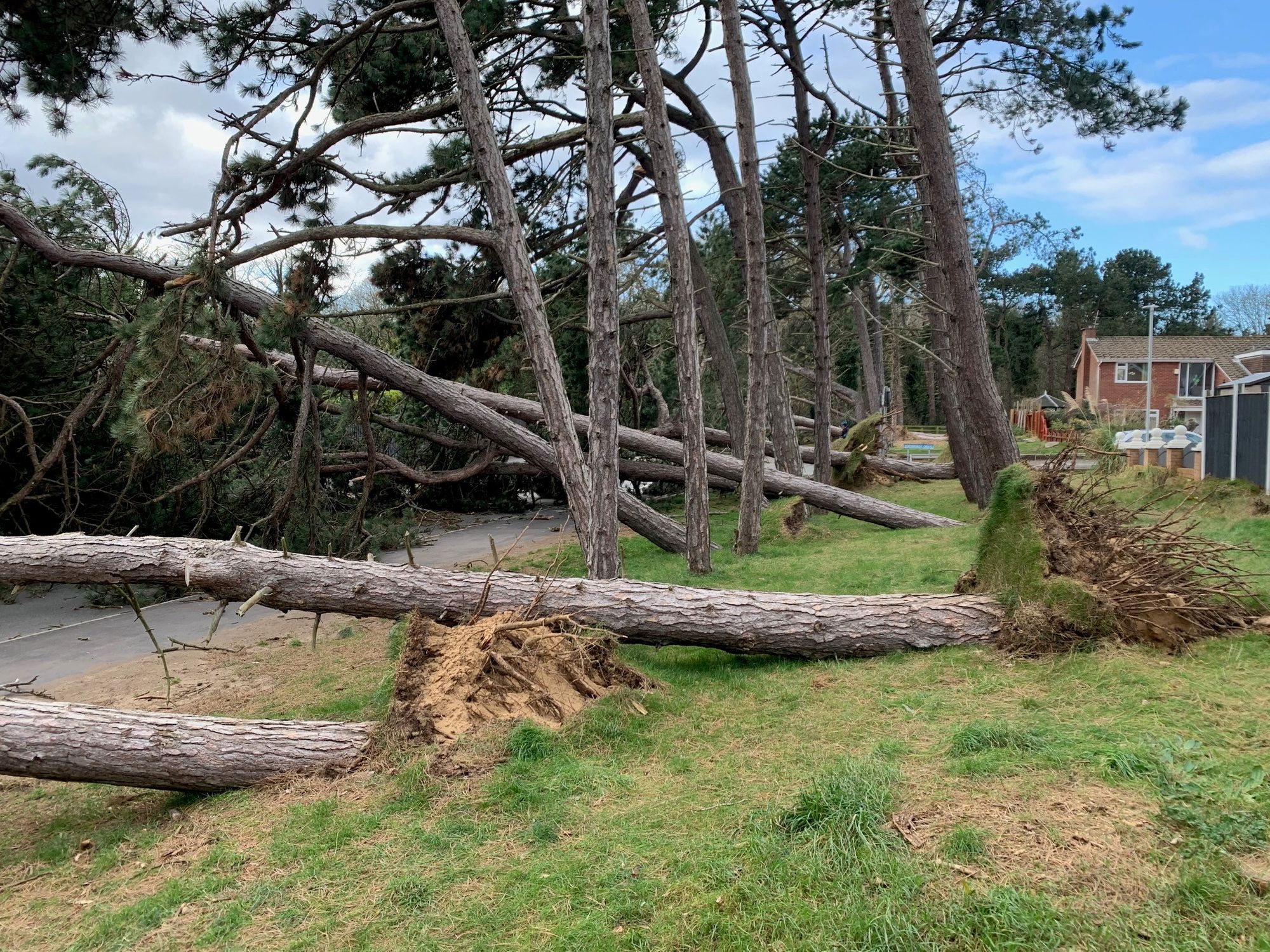 Sefton Coast column: The surprises found between the storms