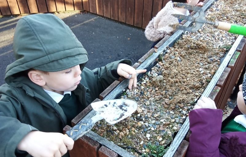 Ashford pupils get green fingers after bulb donation from local housebuilder