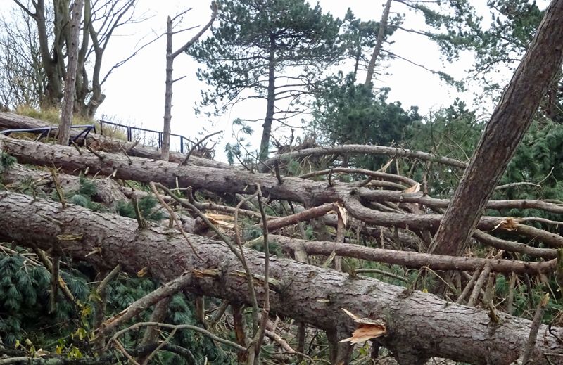 John Lawson-Reay: Storm Arwen hits Llandudno's historic Happy Valley