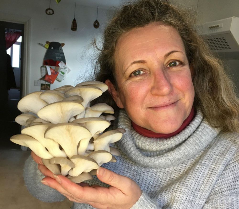Foodbank project will make Margate the ‘mushroom mecca’