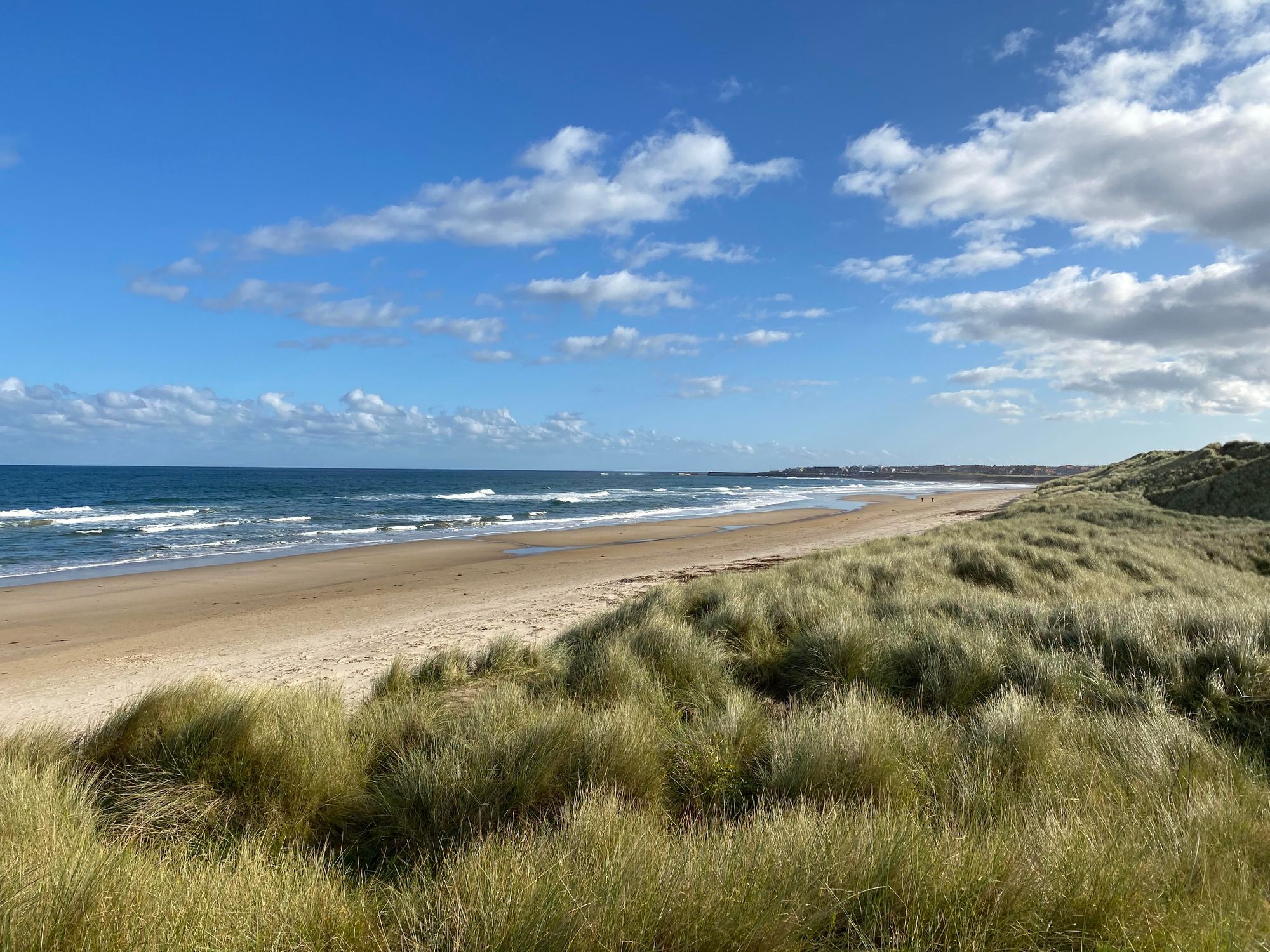 Your View: New Years Day walks in the North East | InYourArea Community